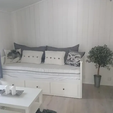Large And Cosy Cabin, Perfect Location On Trysilfjellet! Trysil