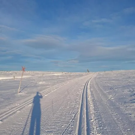 Large And Cosy Cabin, Perfect Location On Trysilfjellet! Feriehus Trysil
