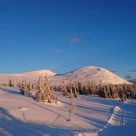 Large And Cosy Cabin, Perfect Location On Trysilfjellet! Feriehus *