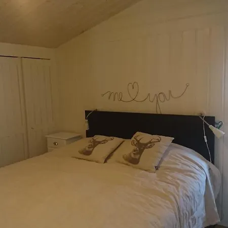 Large And Cosy Cabin, Perfect Location On Trysilfjellet! * Trysil
