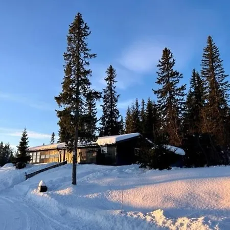 Large And Cosy Cabin, Perfect Location On Trysilfjellet! Tatil Evi *